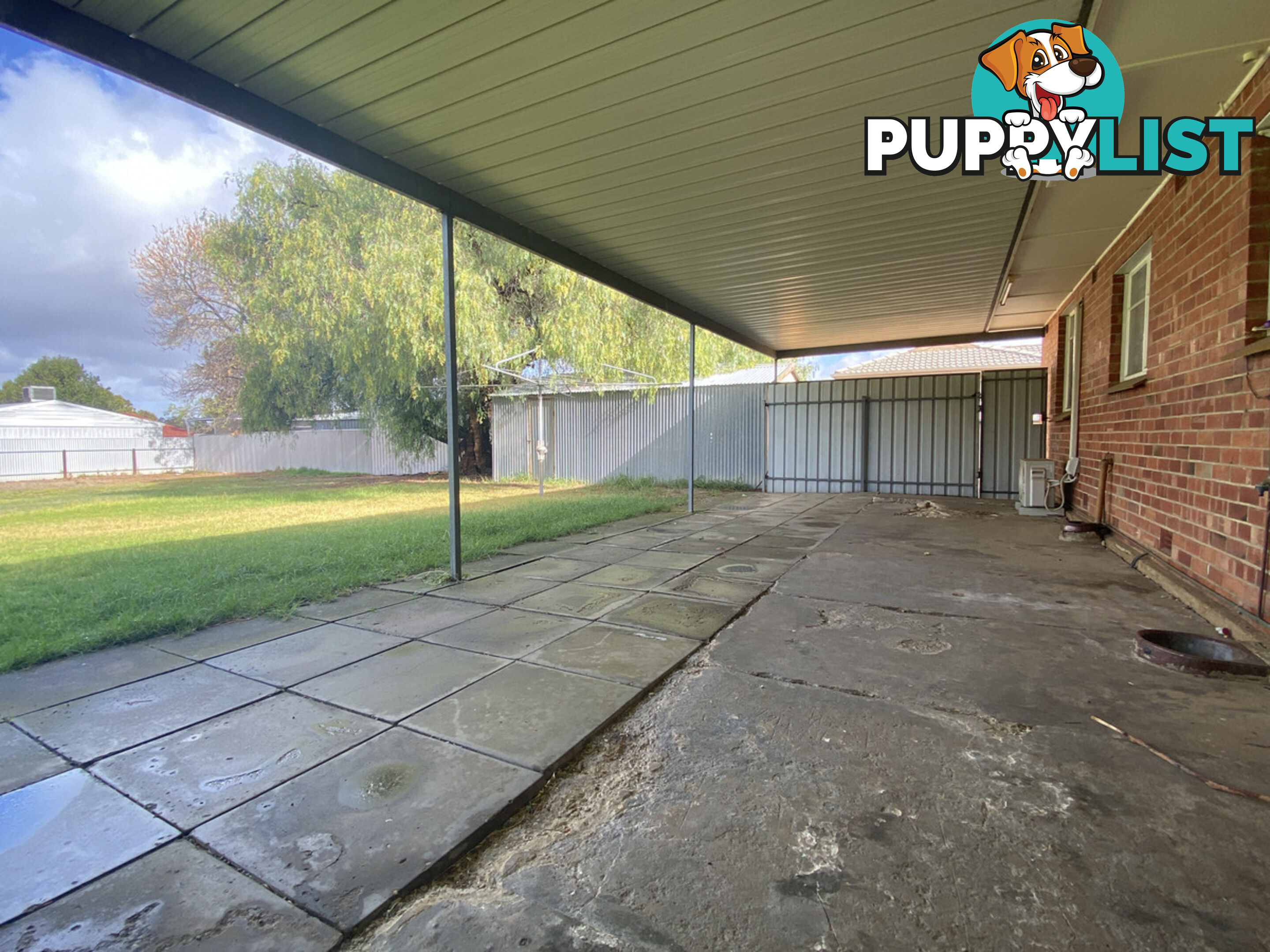 6 Douglas Street RIDGEHAVEN SA 5097