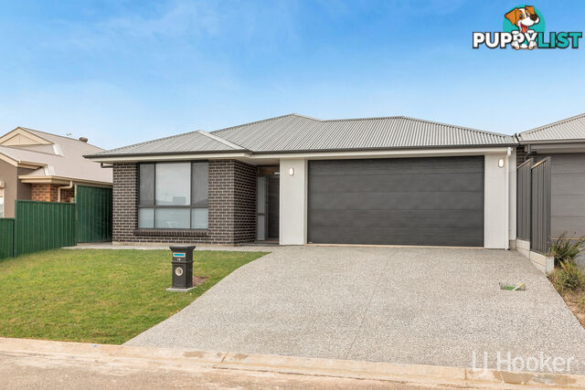 14 Terry Street BLAKEVIEW SA 5114