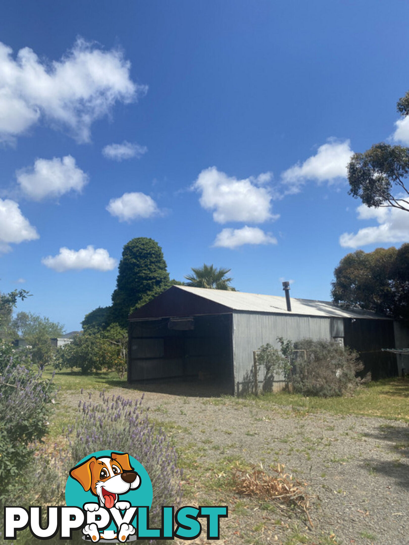 139 Bentley Road BLAKEVIEW SA 5114