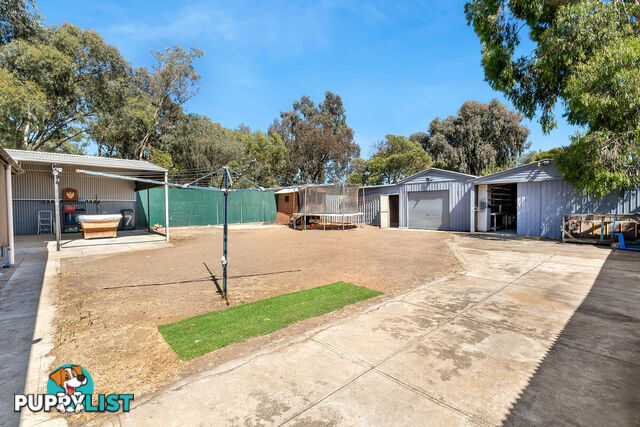 7 Fox Street SALISBURY DOWNS SA 5108