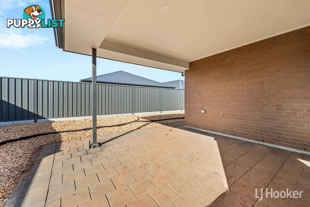 14 Banjo Street MUNNO PARA SA 5115