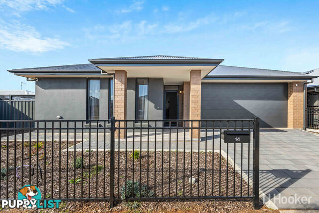 14 Banjo Street MUNNO PARA SA 5115