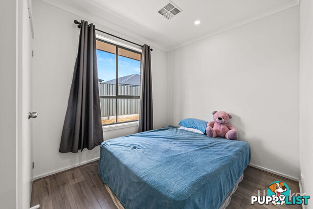 14 Banjo Street MUNNO PARA SA 5115