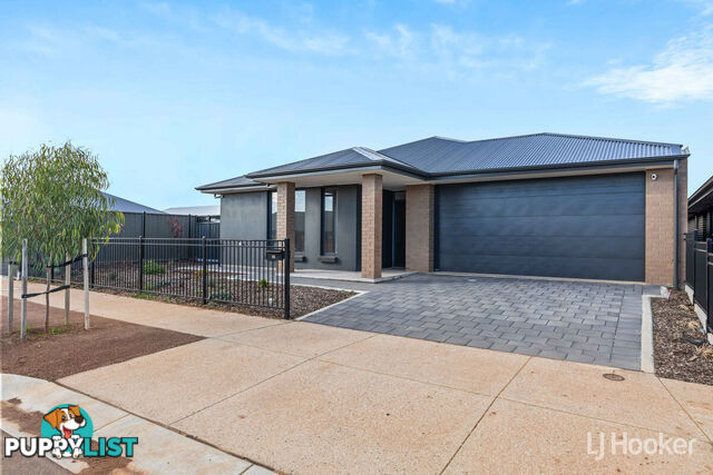 14 Banjo Street MUNNO PARA SA 5115