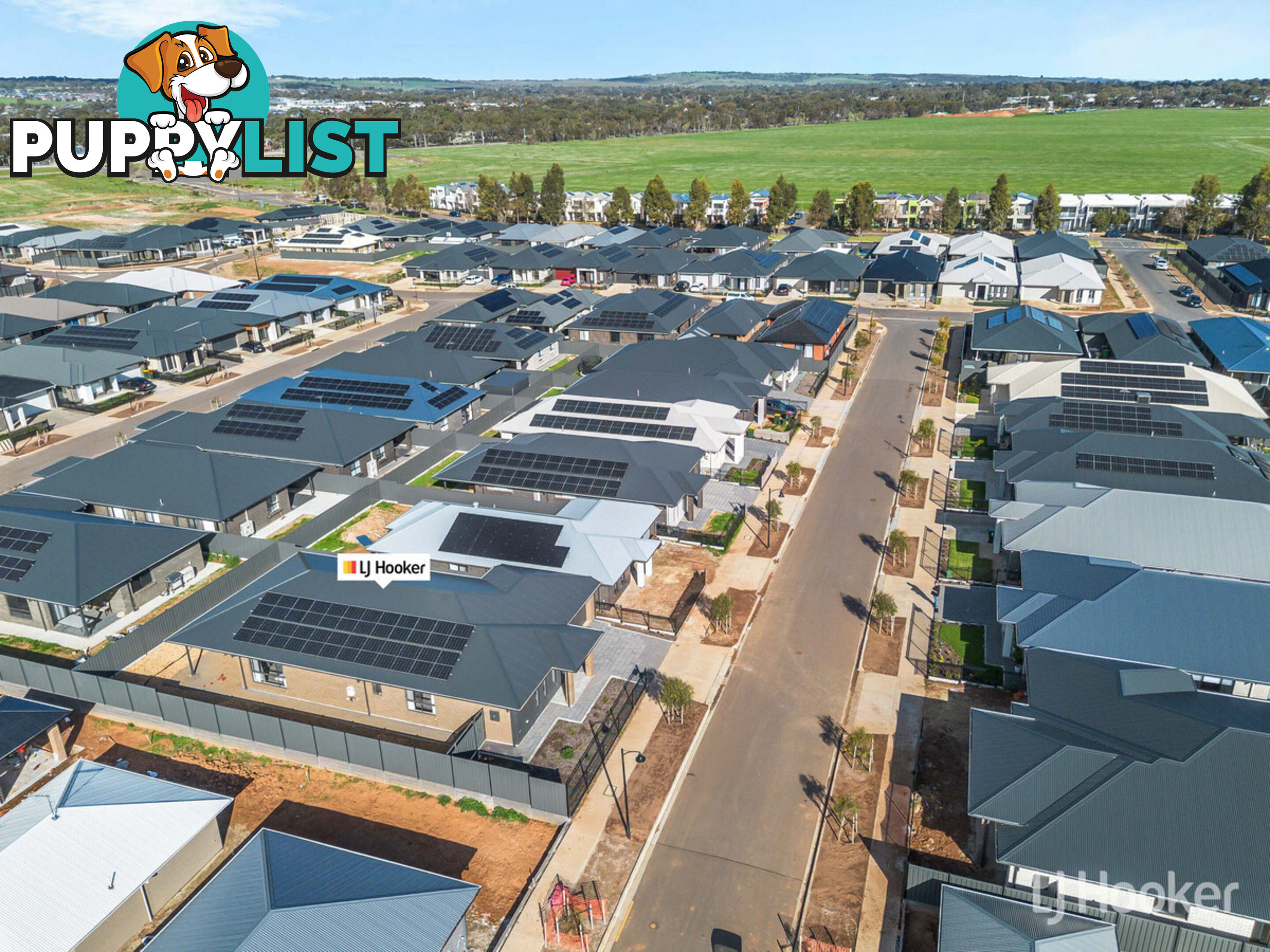 14 Banjo Street MUNNO PARA SA 5115