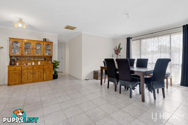 48 Browne Circuit CRAIGMORE SA 5114