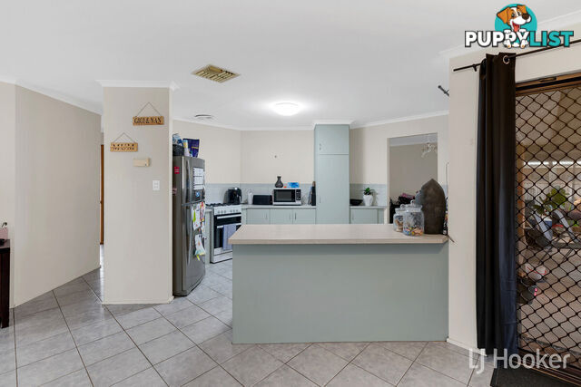 48 Browne Circuit CRAIGMORE SA 5114