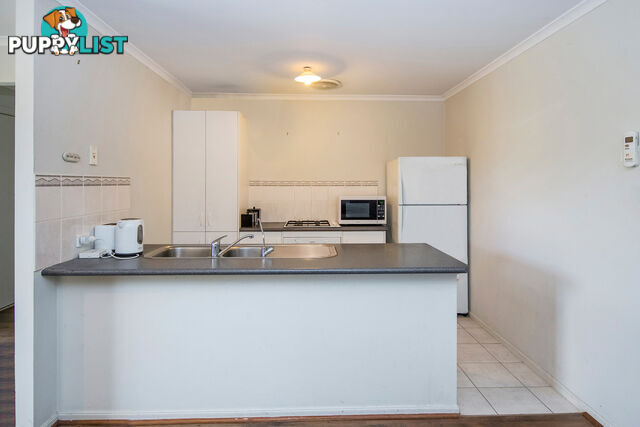 17 Dartmouth Street DAVOREN PARK SA 5113