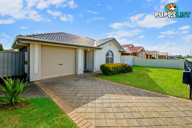 17 Dartmouth Street DAVOREN PARK SA 5113