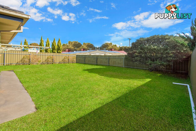 17 Dartmouth Street DAVOREN PARK SA 5113