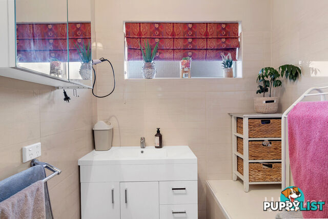 16 Commodore Parade ANDREWS FARM SA 5114