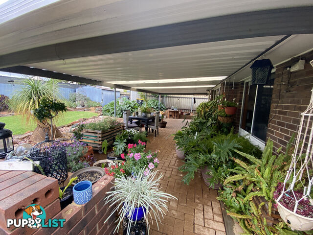 23 Pinda Court CRAIGMORE SA 5114