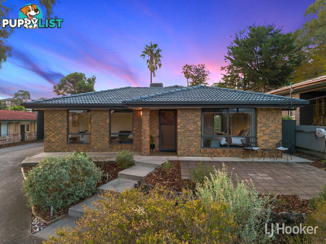 6 Watson Street REDWOOD PARK SA 5097