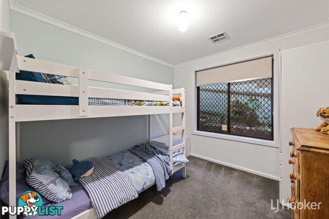 6 Watson Street REDWOOD PARK SA 5097