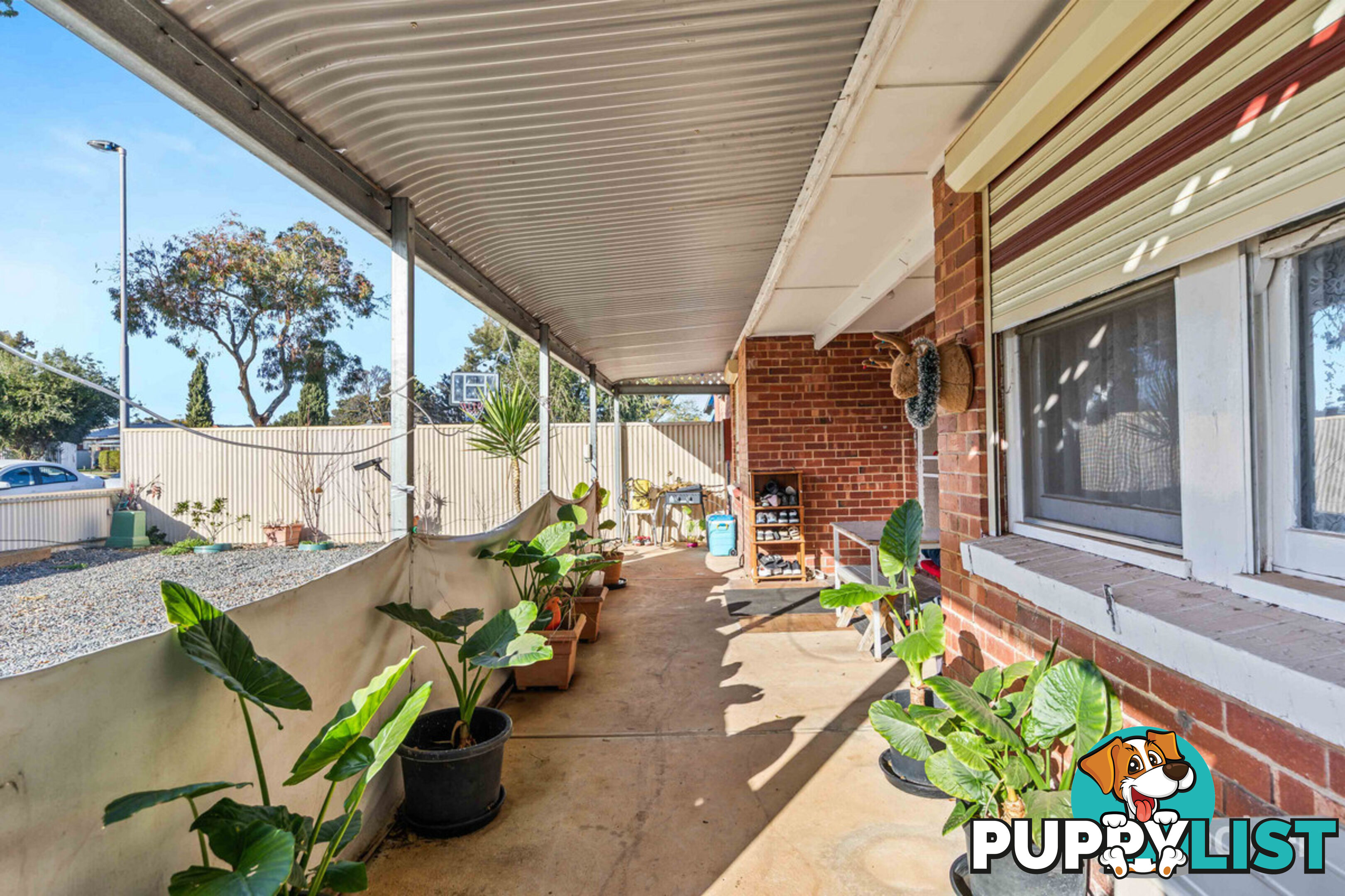 36 Wilkins Road ELIZABETH DOWNS SA 5113