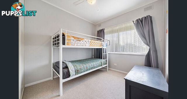 31 Mailey Crescent PARAFIELD GARDENS SA 5107