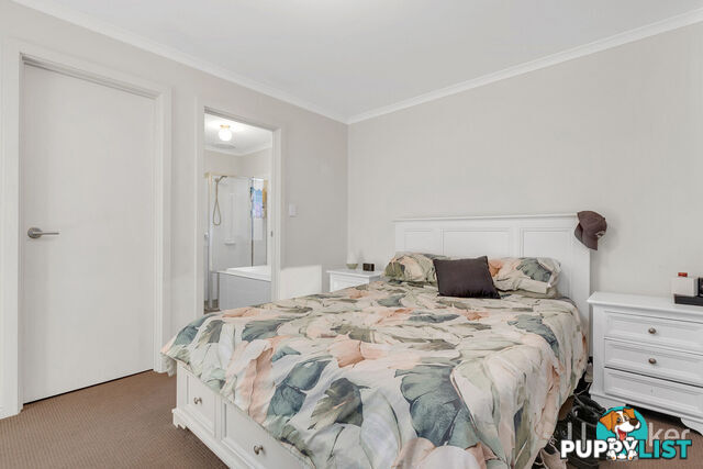 12 Brampton Court ELIZABETH NORTH SA 5113