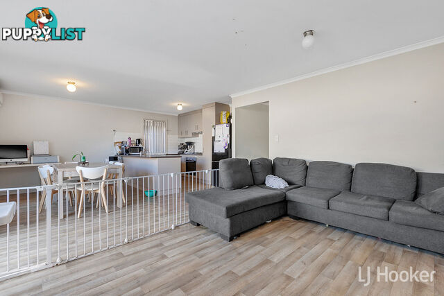 12 Brampton Court ELIZABETH NORTH SA 5113