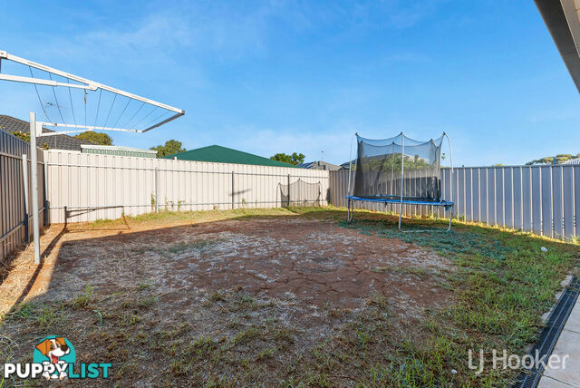 12 Brampton Court ELIZABETH NORTH SA 5113