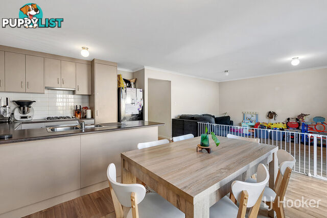 12 Brampton Court ELIZABETH NORTH SA 5113