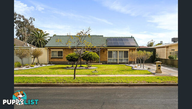 31 Mailey Crescent PARAFIELD GARDENS SA 5107