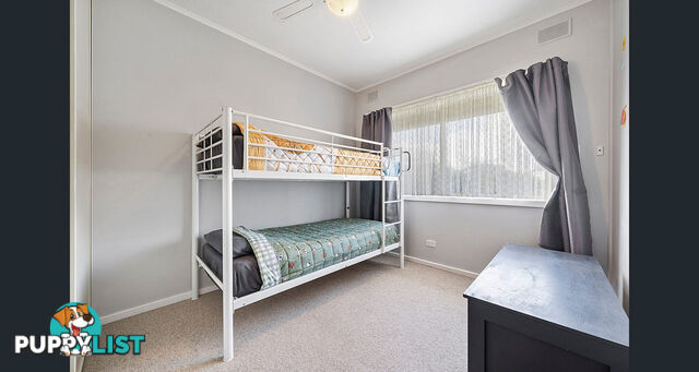 31 Mailey Crescent PARAFIELD GARDENS SA 5107