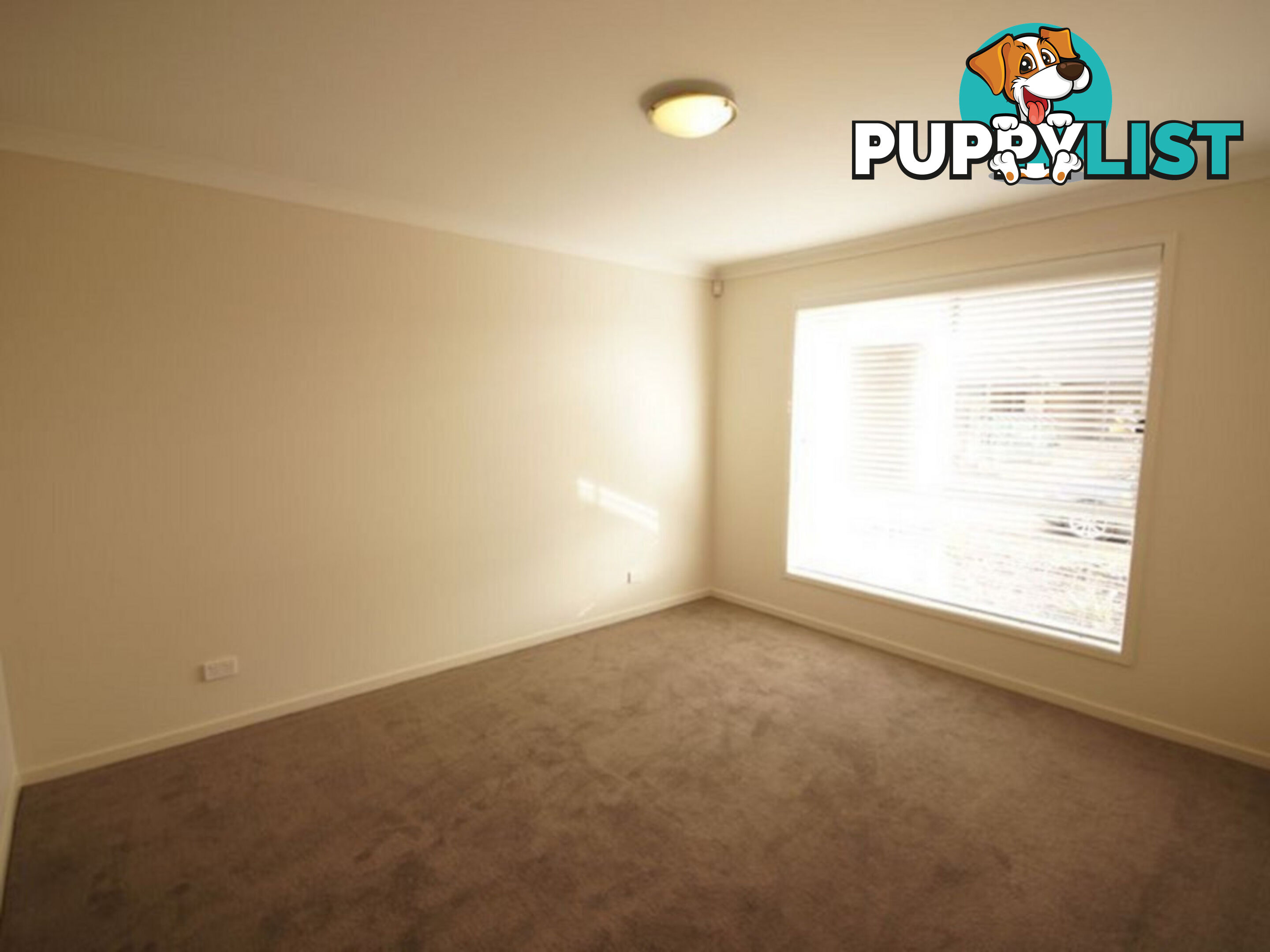 14 St Georges Way BLAKEVIEW SA 5114