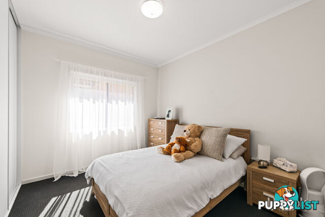 87 Maple Avenue ROYAL PARK SA 5014