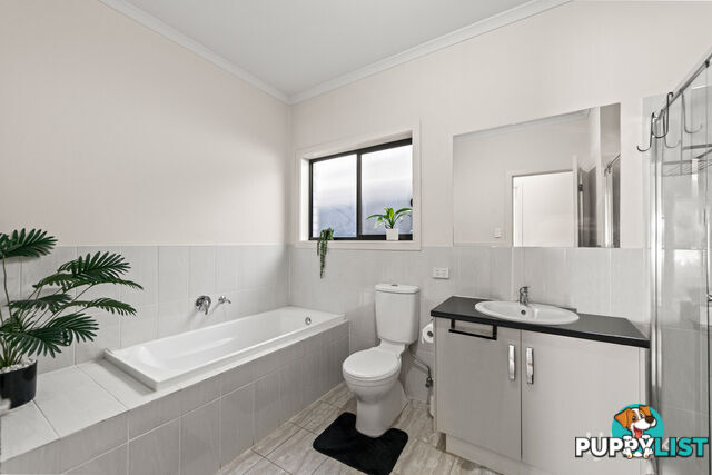 87 Maple Avenue ROYAL PARK SA 5014