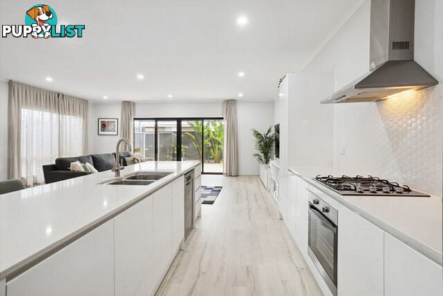 13 Greenhood Crescent ANDREWS FARM SA 5114