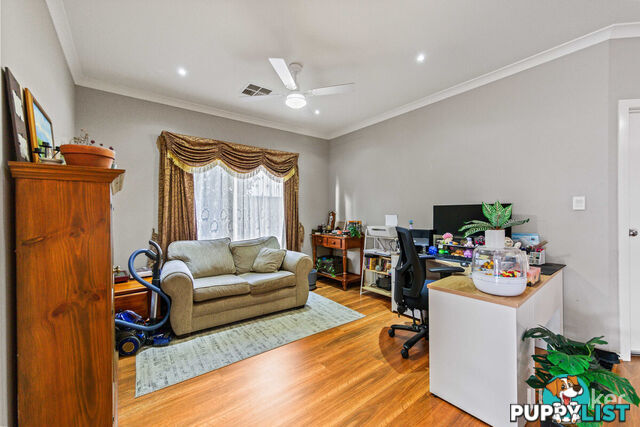 29 Salmon Gum Crescent BLAKEVIEW SA 5114