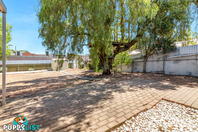 9 Fotherham Street BLAKEVIEW SA 5114