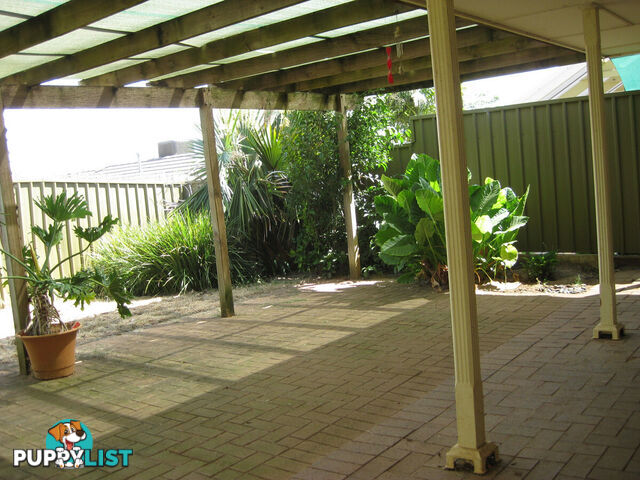 29 Dalrymple Way GREENWITH SA 5125