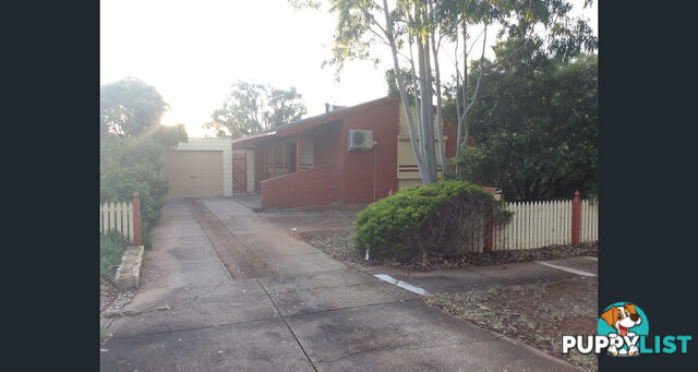 11 Alawoona Road MUNNO PARA SA 5115