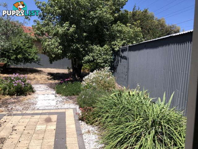 1 Ellis Street ENFIELD SA 5085