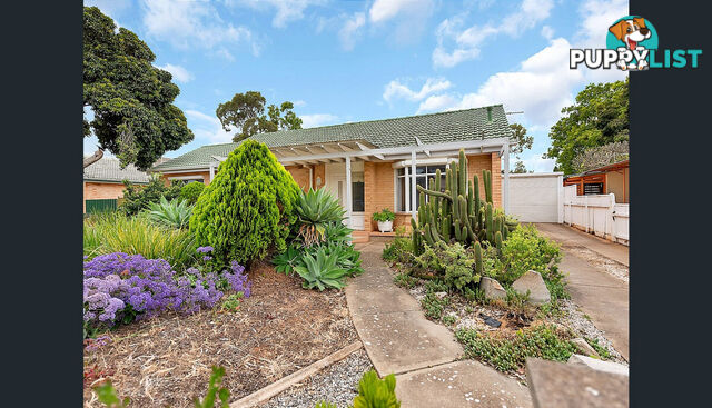 21 Berberis Street ELIZABETH VALE SA 5112