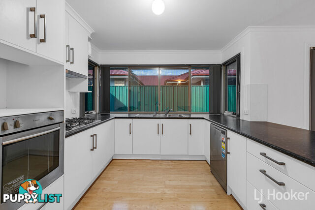 33 Springvale Drive BLAKEVIEW SA 5114