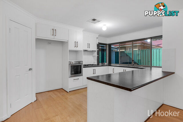 33 Springvale Drive BLAKEVIEW SA 5114