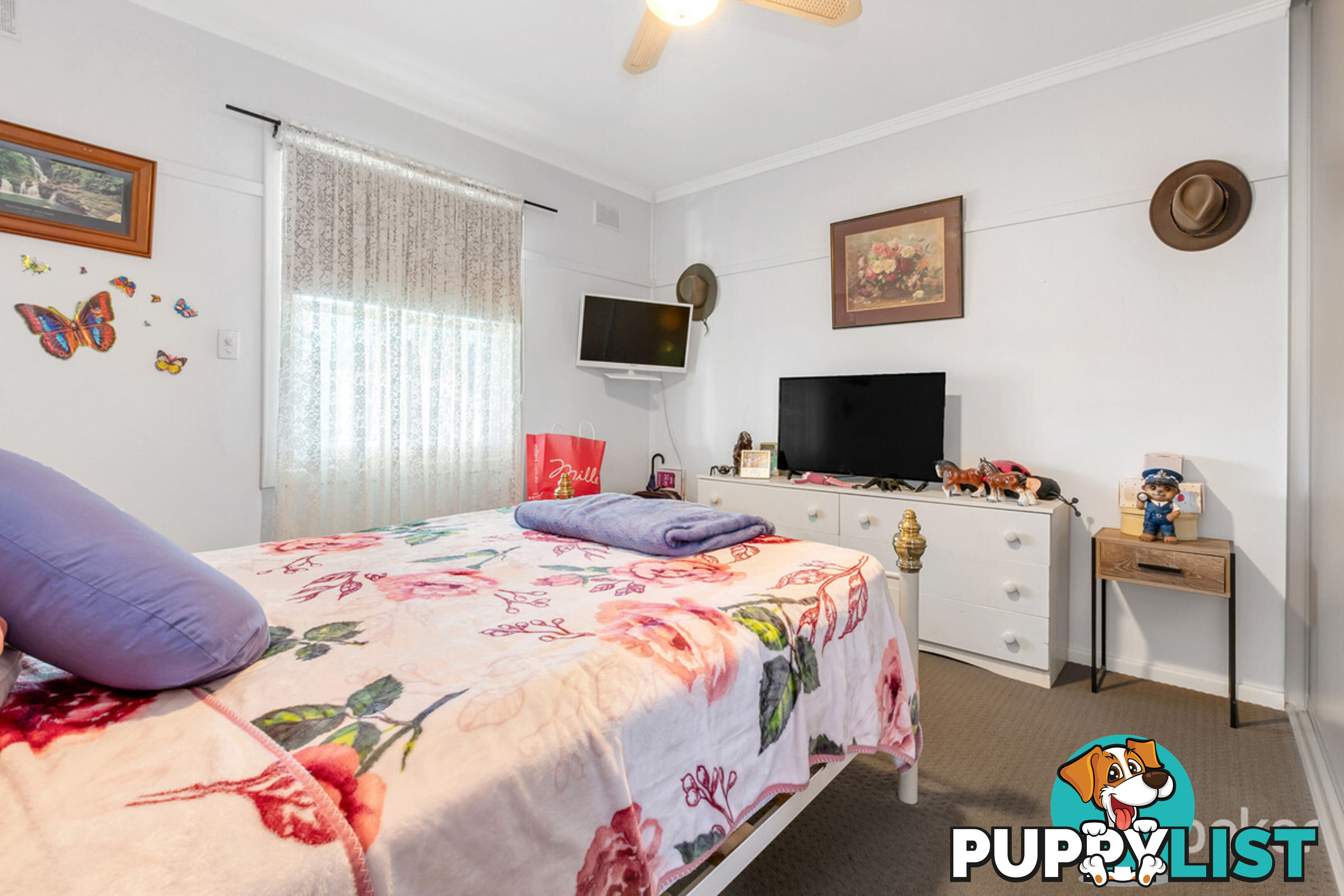 6 Stormore Street DAVOREN PARK SA 5113