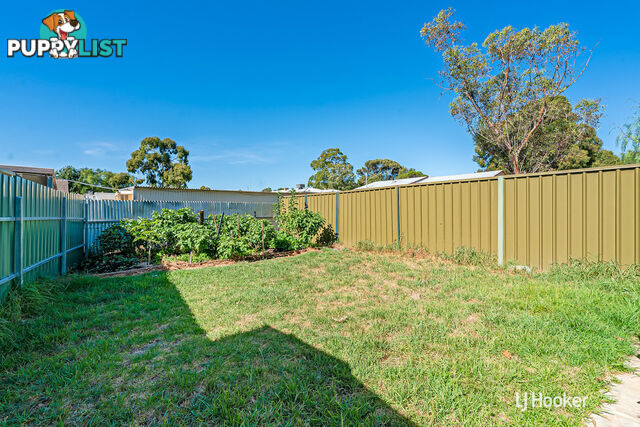 3A Brady Street ELIZABETH DOWNS SA 5113