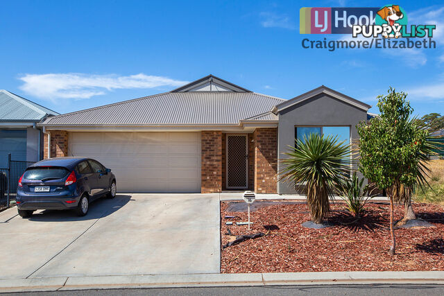 16 Terry Street BLAKEVIEW SA 5114