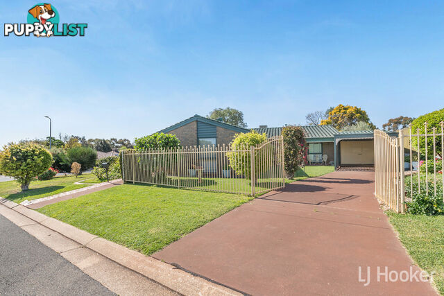 24 Nilpena Court CRAIGMORE SA 5114