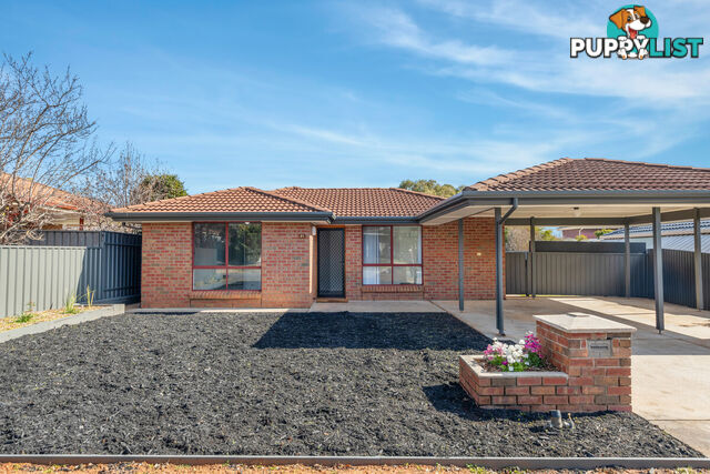 21 Balmoral Circuit BLAKEVIEW SA 5114