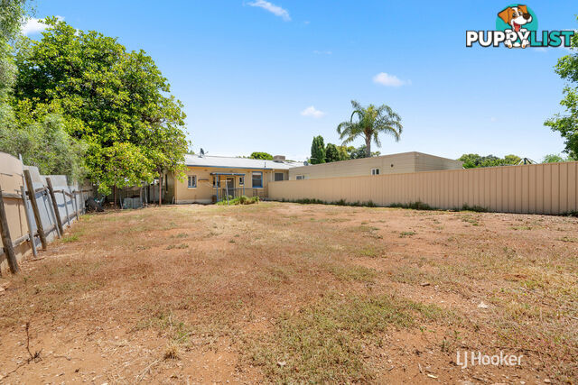 24 Tisbury Street ELIZABETH NORTH SA 5113