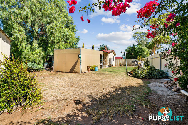 35 Carabeen Crescent ANDREWS FARM SA 5114