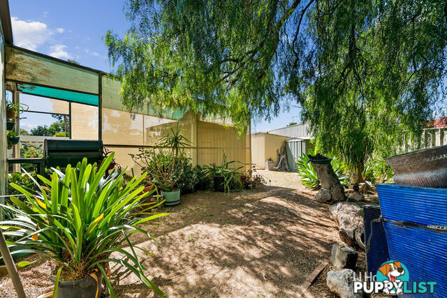 35 Carabeen Crescent ANDREWS FARM SA 5114