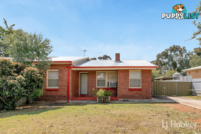 5 Wilkins Road ELIZABETH DOWNS SA 5113