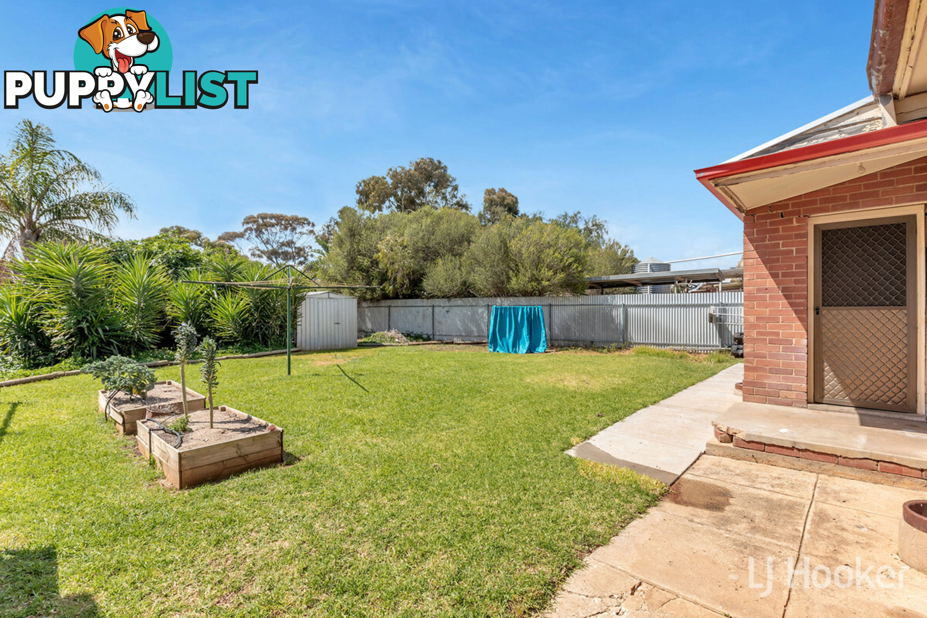 5 Wilkins Road ELIZABETH DOWNS SA 5113