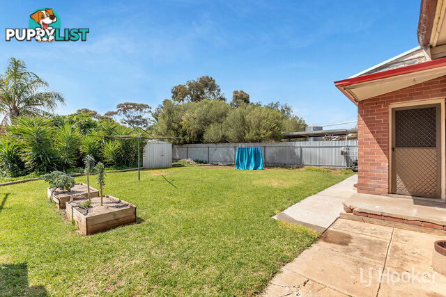 5 Wilkins Road ELIZABETH DOWNS SA 5113