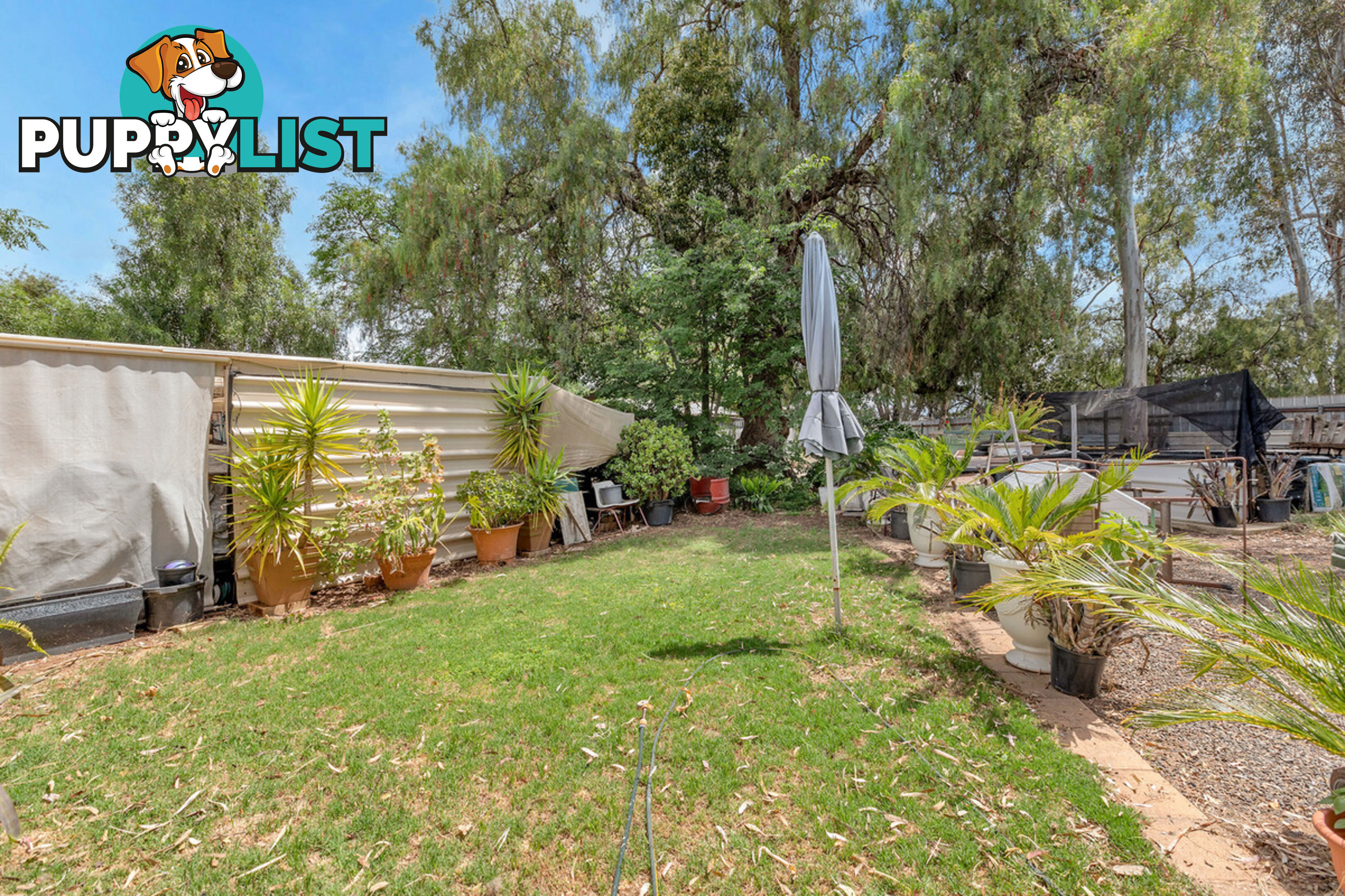 6 Rose Street SMITHFIELD SA 5114